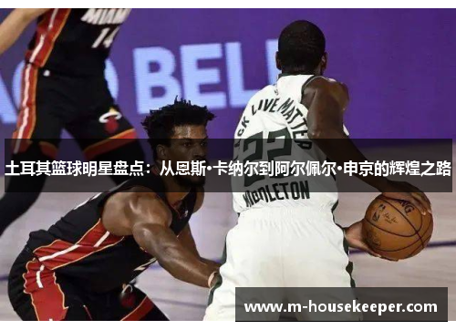 土耳其篮球明星盘点：从恩斯·卡纳尔到阿尔佩尔·申京的辉煌之路