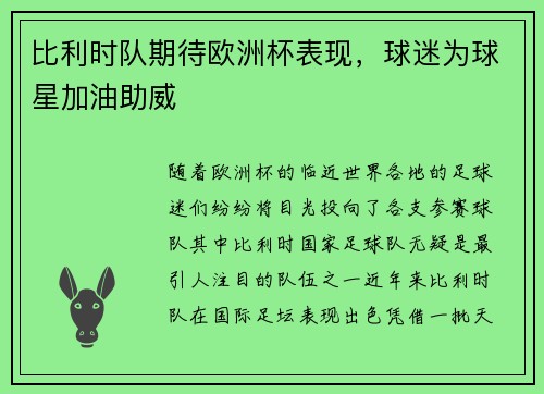 比利时队期待欧洲杯表现，球迷为球星加油助威